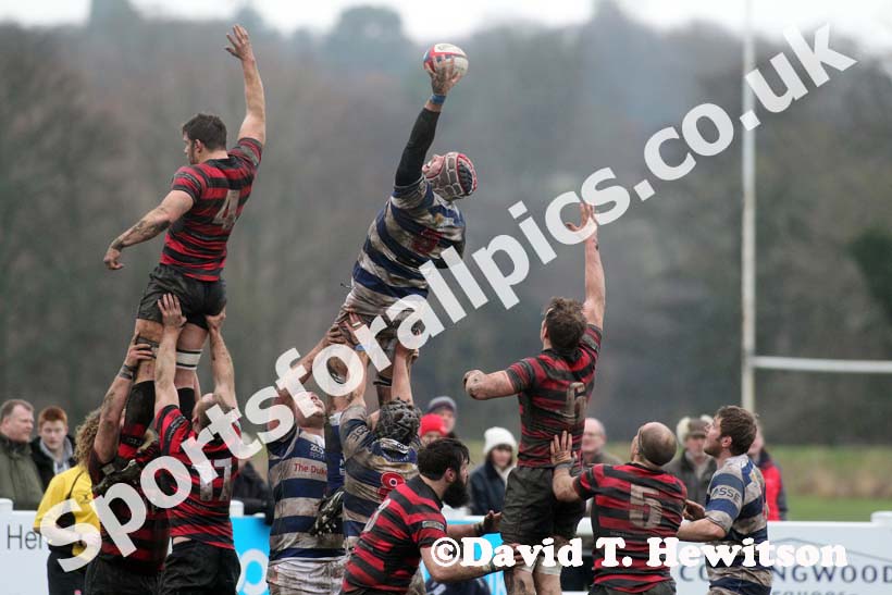 Tynedale v Blackheath. Photo: David T. Hewitson/Sports for All Pics